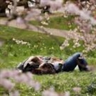 Warmest weather of the year expected with 24C this week