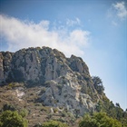 Very High Tree Pollen Alert Continues for Fifth Straight Day