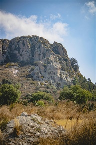 Very High Tree Pollen Alert Continues for Fifth Straight Day