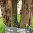 Holiday let owner says legislation will 'destroy me'