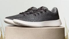 Shoe brand Allbirds' shares rise 580% after it pivots from footwear to AI