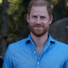 Harry and Meghan's trip felt like a royal tour - except many Aussies weren't interested