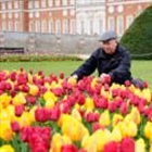 Spring flowers bloom early due to warmer weather and a wet winter