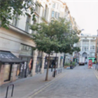 Attempted murder arrest after car hits pedestrians in central London