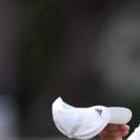 How money is talking as Fitzpatrick turns up volume