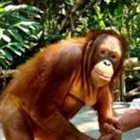 Cashier stole from vulnerable customers to fund trips to Paris, Tuscany and Dubai