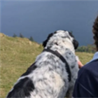 'Such a let-down' - healthcare students on NHS recruitment squeeze