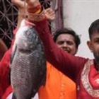 Indian politicians are campaigning while holding fish. What is going on?