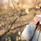 Hay fever misery does last longer - here is how to cope