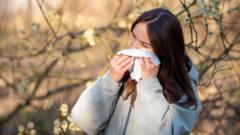 Hay fever misery does last longer - here is how to cope