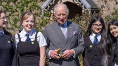King awarded Blue Peter Green badge for environmental work