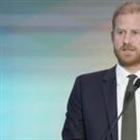 Trump says he speaks 'for the UK more than Prince Harry'
