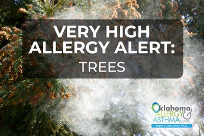 Very High Allergy Alert Issued for Tree Pollen