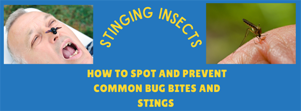 How to Spot and Prevent Common Bug Bites and Stings