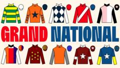Grand National pinstickers' guide to runners