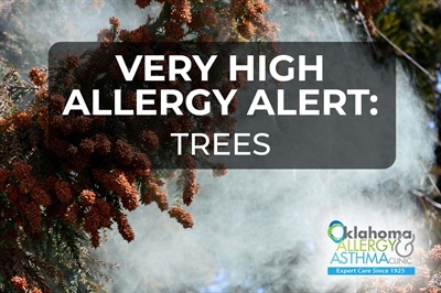Very High Allergy Alert Issued for Tree Pollen
