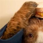 Weekly quiz: What might have made Paddington panic about his marmalade?