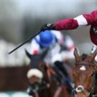 Gold Dancer put down after winning at Aintree