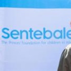 Prince Harry sued for defamation by charity Sentebale he co-founded
