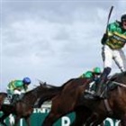 I Am Maximus wins Grand National for trainer Mullins
