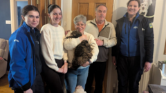 Five-hour rescue saves cat missing for 4 years