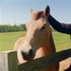 ICE wanted to build a detention centre -  this small farming town said no