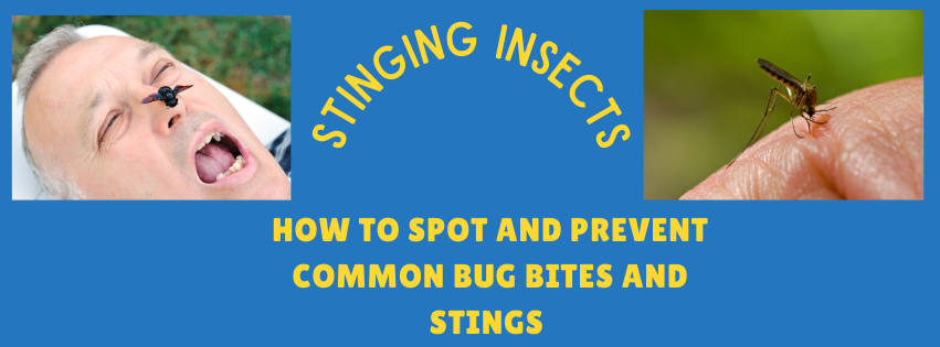 How to Spot and Prevent Common Bug Bites and Stings