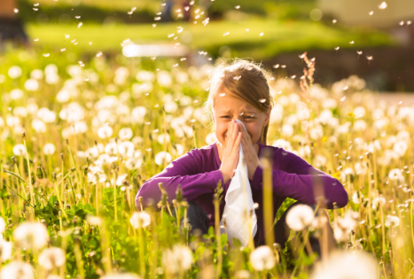 4 Ways to Tackle Seasonal Allergy Symptoms ASAP